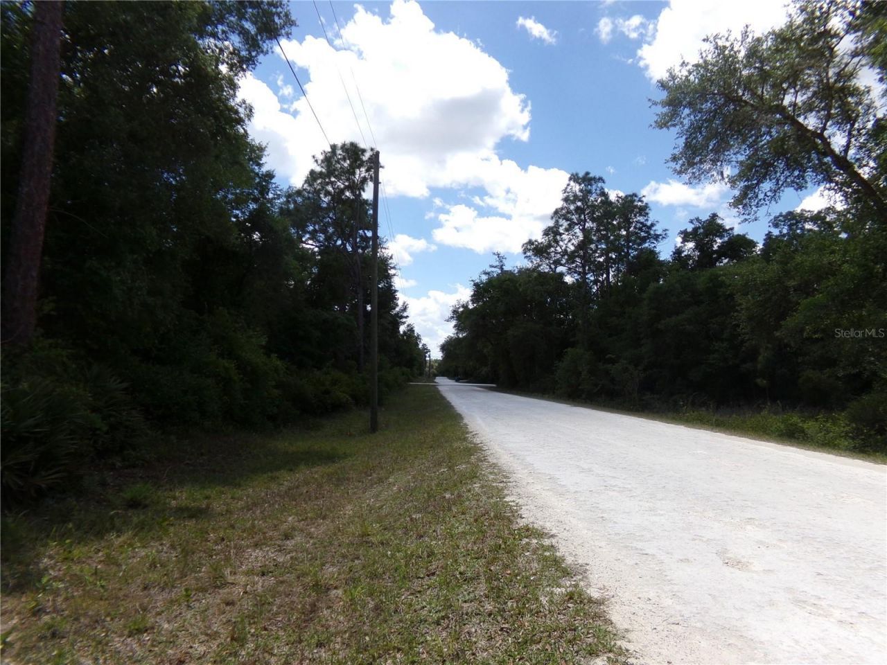 00 Cashew Drive, Webster, FL 33597 Photo