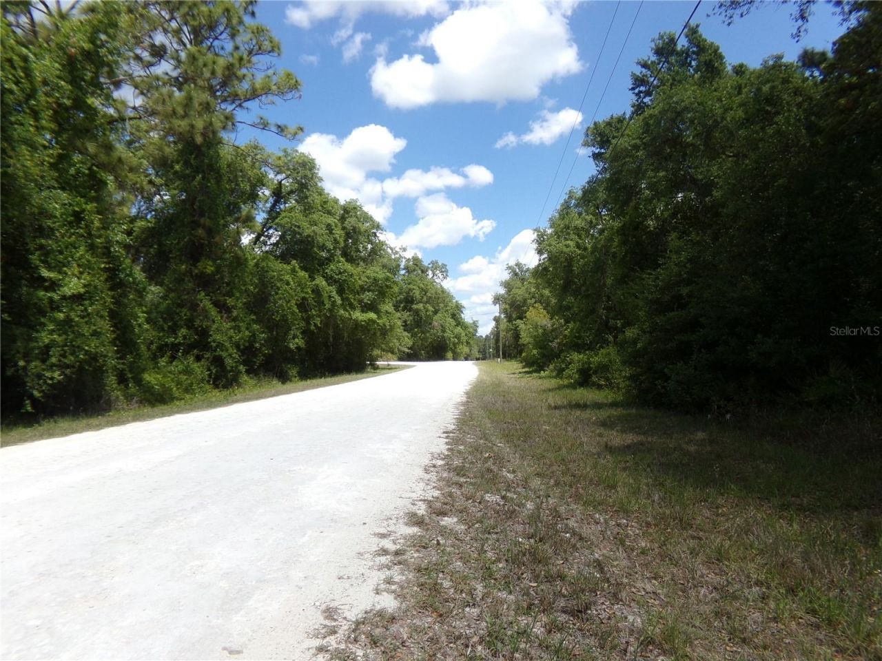 00 Cashew Drive, Webster, FL 33597 Photo