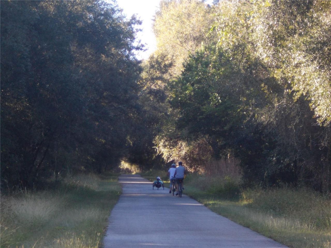 00 Cashew Drive, Webster, FL 33597 Photo