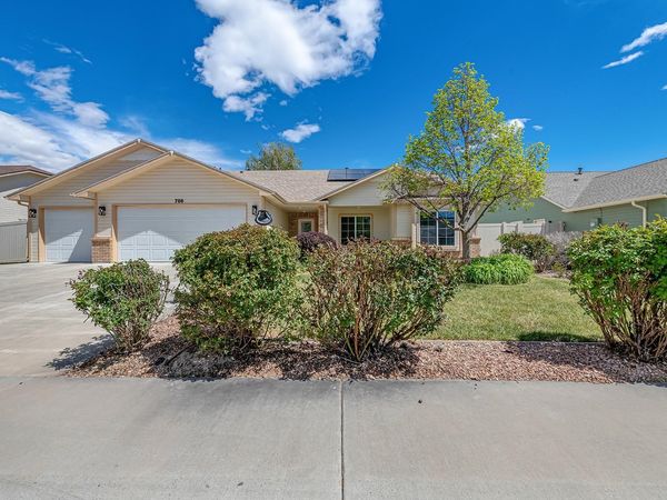 786 Comstock Drive , Fruita, CO 81521