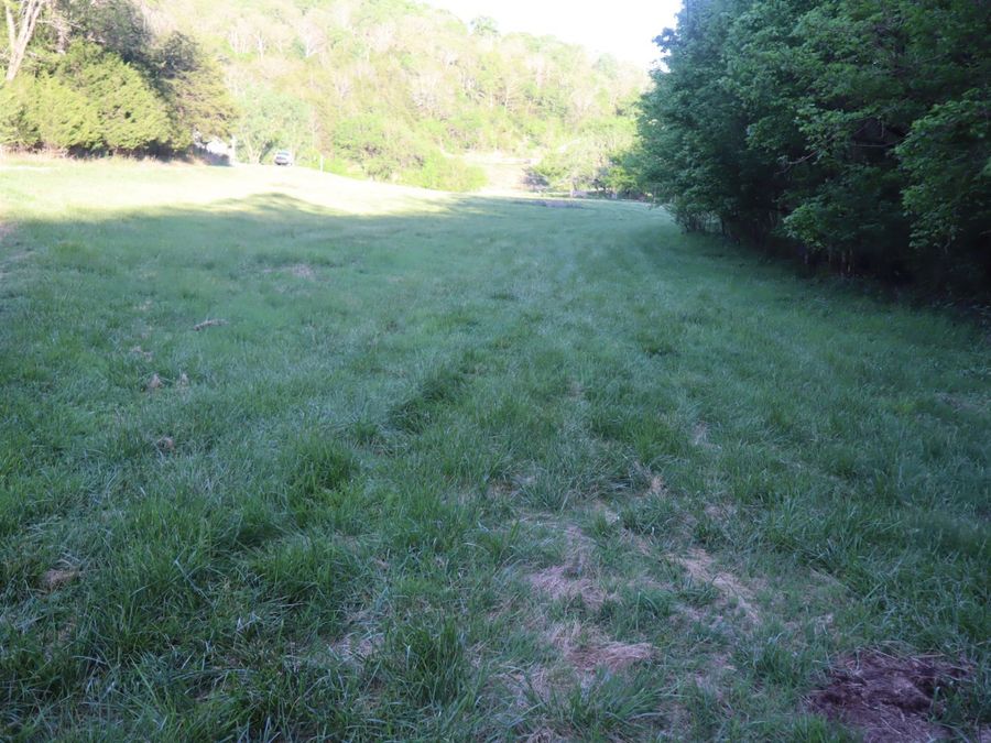 Property Image 56
