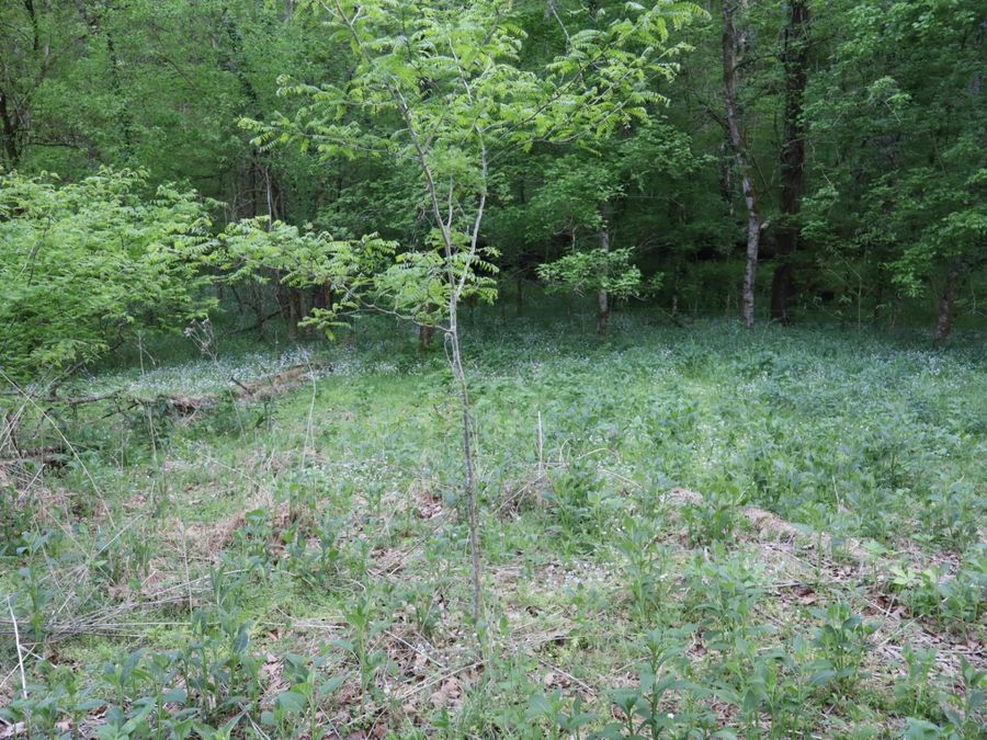 Property Image 59