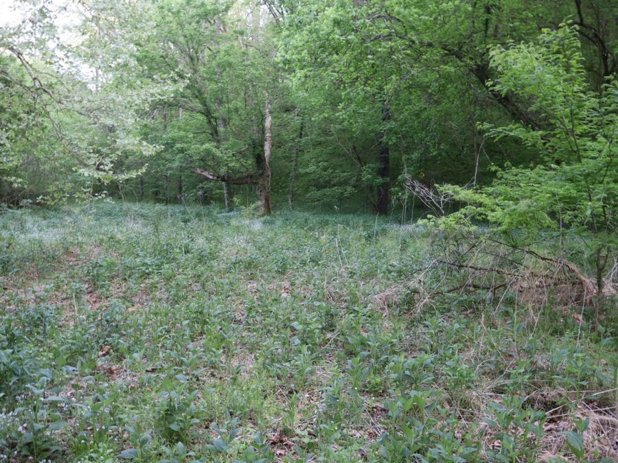 Property Image 60