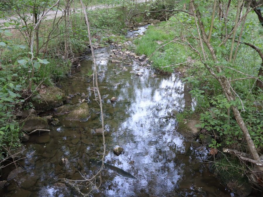 Property Image 61