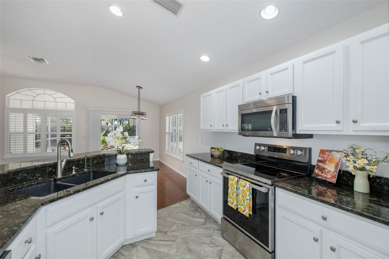 11428 Hidden Cove Court, Trinity, FL 34655 Photo