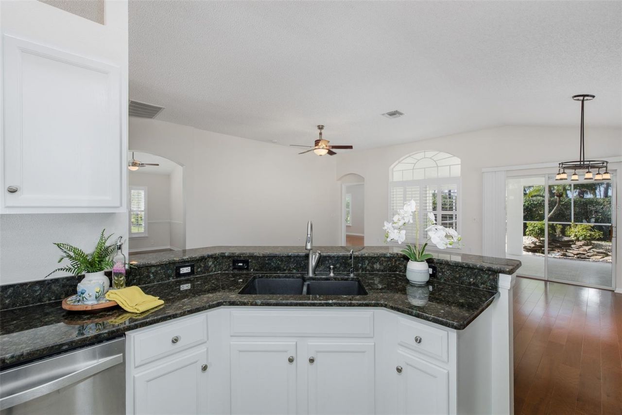11428 Hidden Cove Court, Trinity, FL 34655 Photo