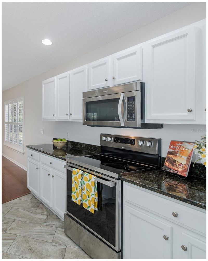 11428 Hidden Cove Court, Trinity, FL 34655 Photo