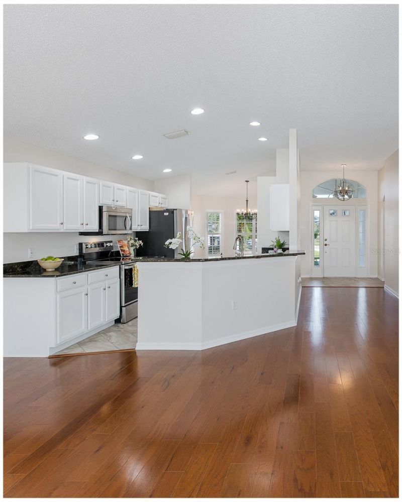 11428 Hidden Cove Court, Trinity, FL 34655 Photo