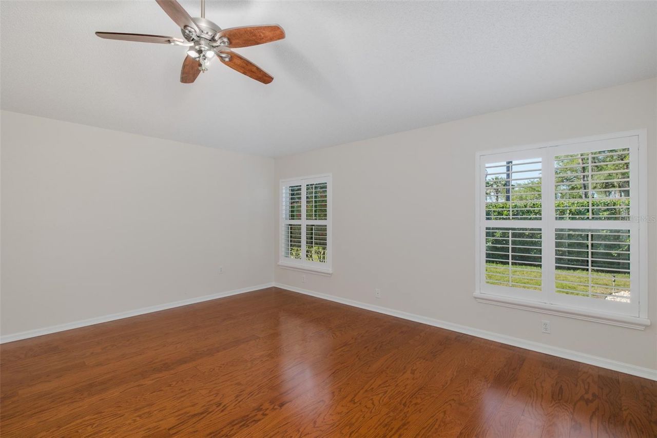 11428 Hidden Cove Court, Trinity, FL 34655 Photo