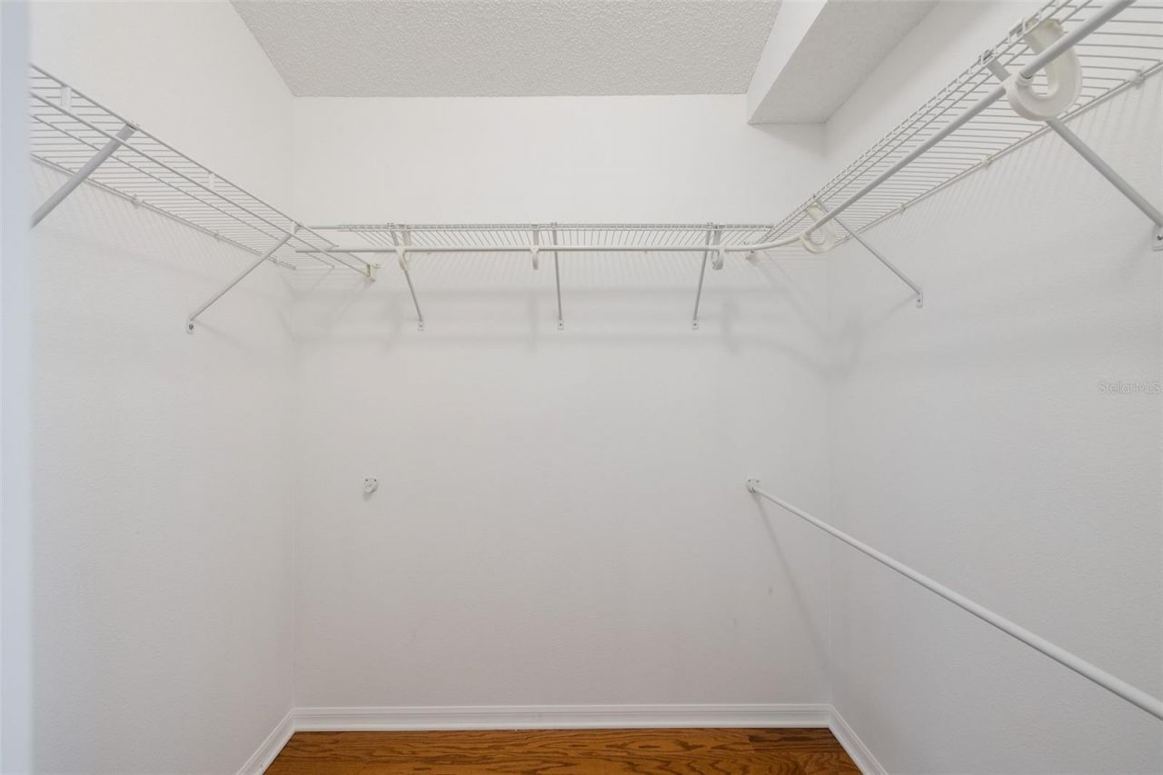 11428 Hidden Cove Court, Trinity, FL 34655 Photo