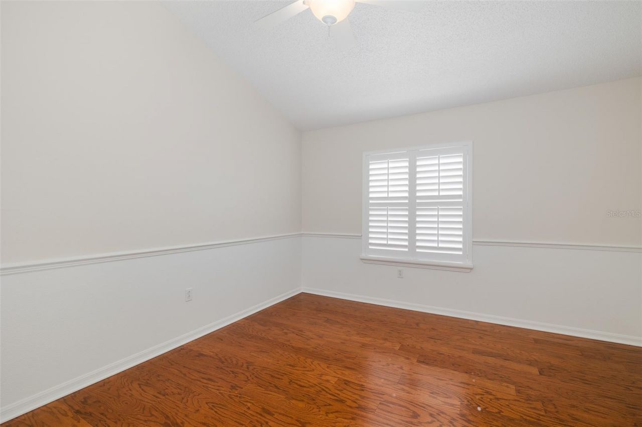 11428 Hidden Cove Court, Trinity, FL 34655 Photo