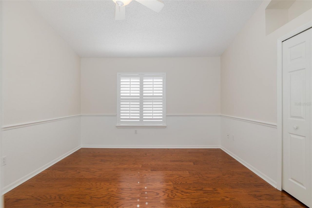 11428 Hidden Cove Court, Trinity, FL 34655 Photo