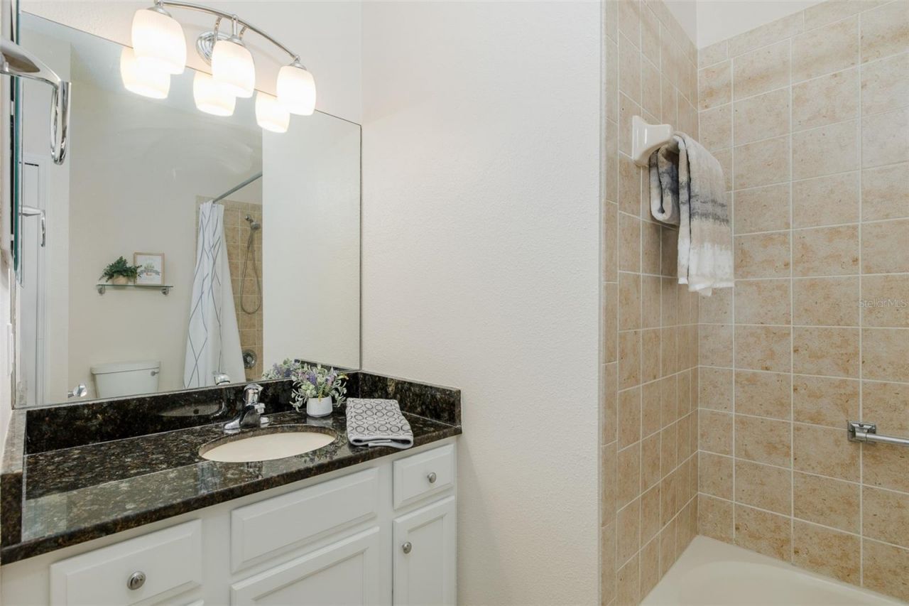 11428 Hidden Cove Court, Trinity, FL 34655 Photo