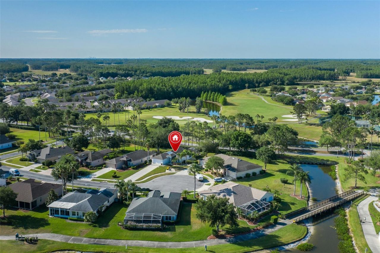 11428 Hidden Cove Court, Trinity, FL 34655 Photo