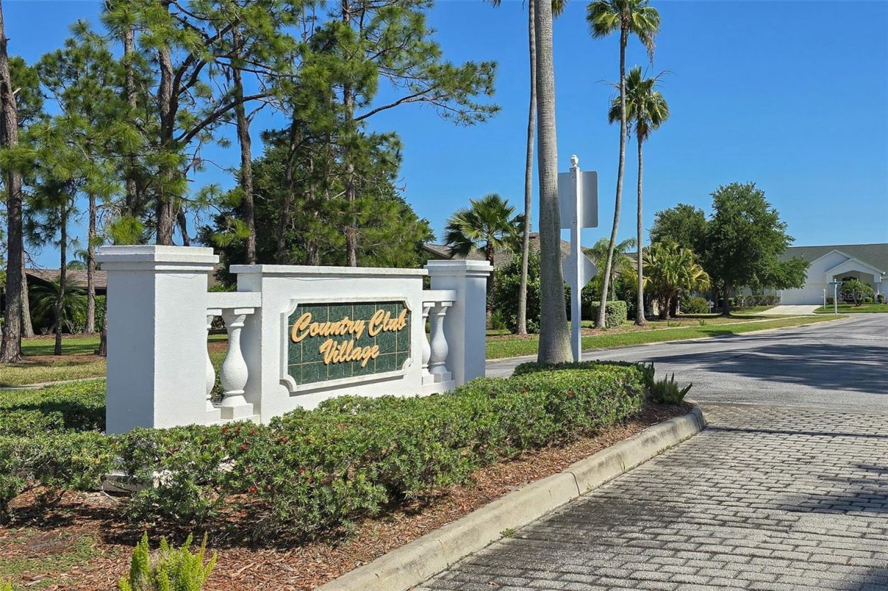 11428 Hidden Cove Court, Trinity, FL 34655 Photo