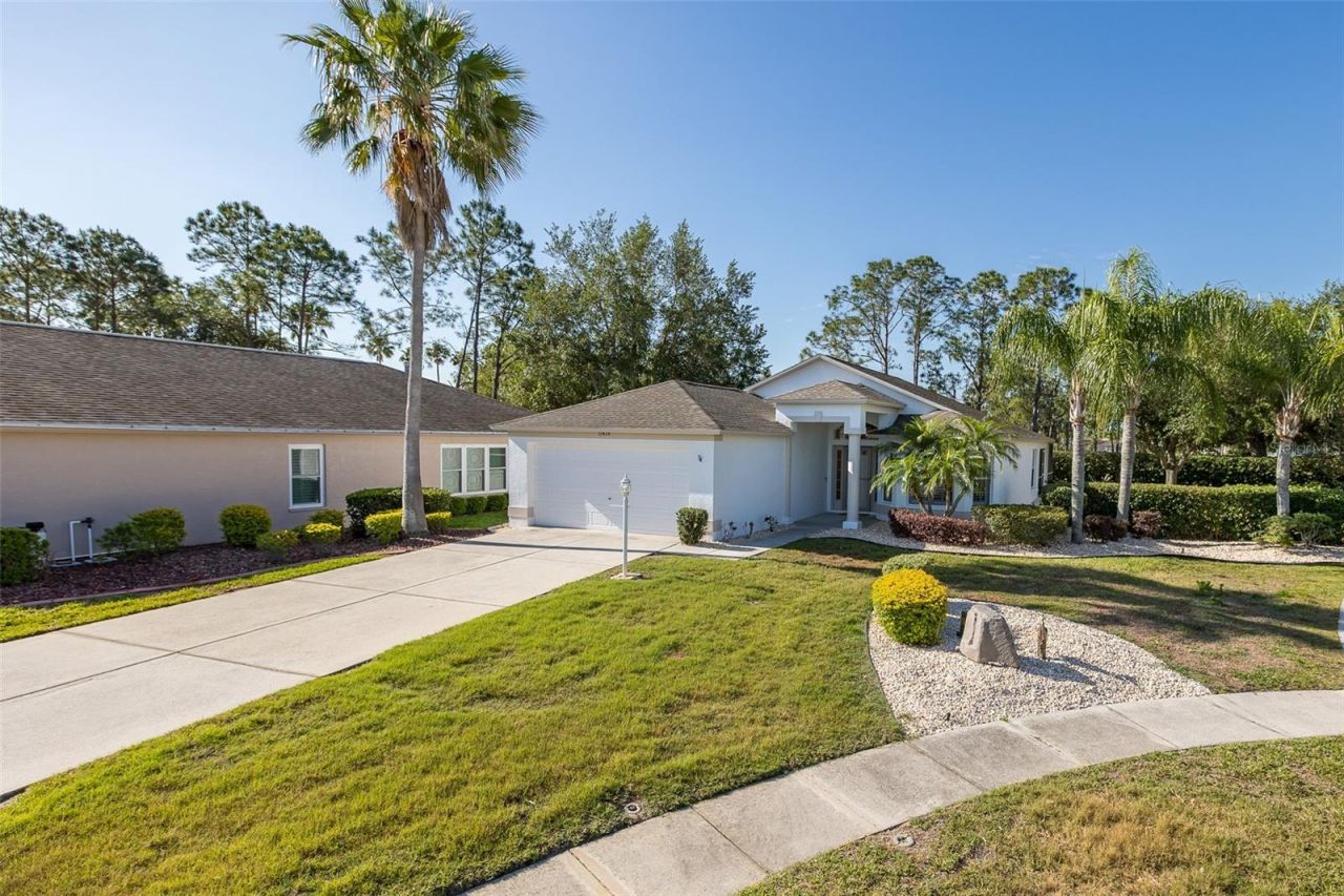 11428 Hidden Cove Court, Trinity, FL 34655 Photo