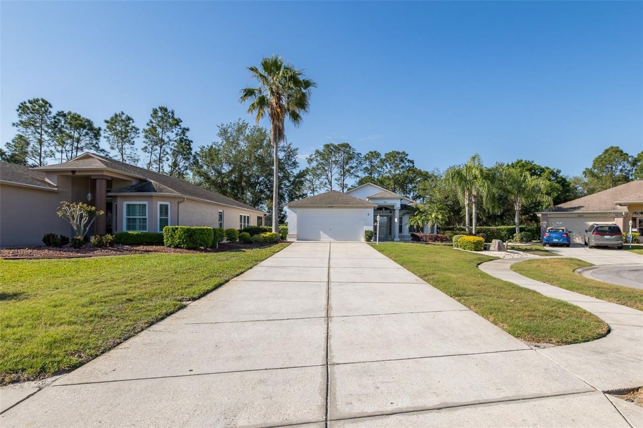11428 Hidden Cove Court, Trinity, FL 34655 Photo