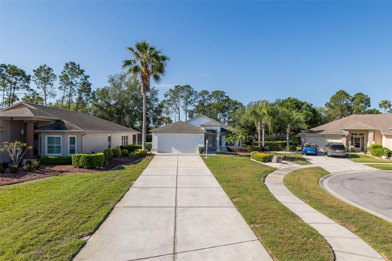 11428 Hidden Cove Court, Trinity, FL 34655 Photo