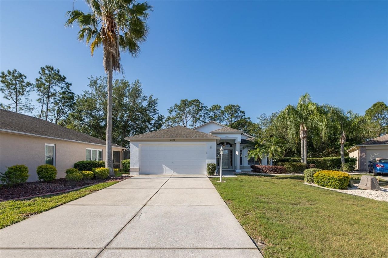 11428 Hidden Cove Court, Trinity, FL 34655 Photo