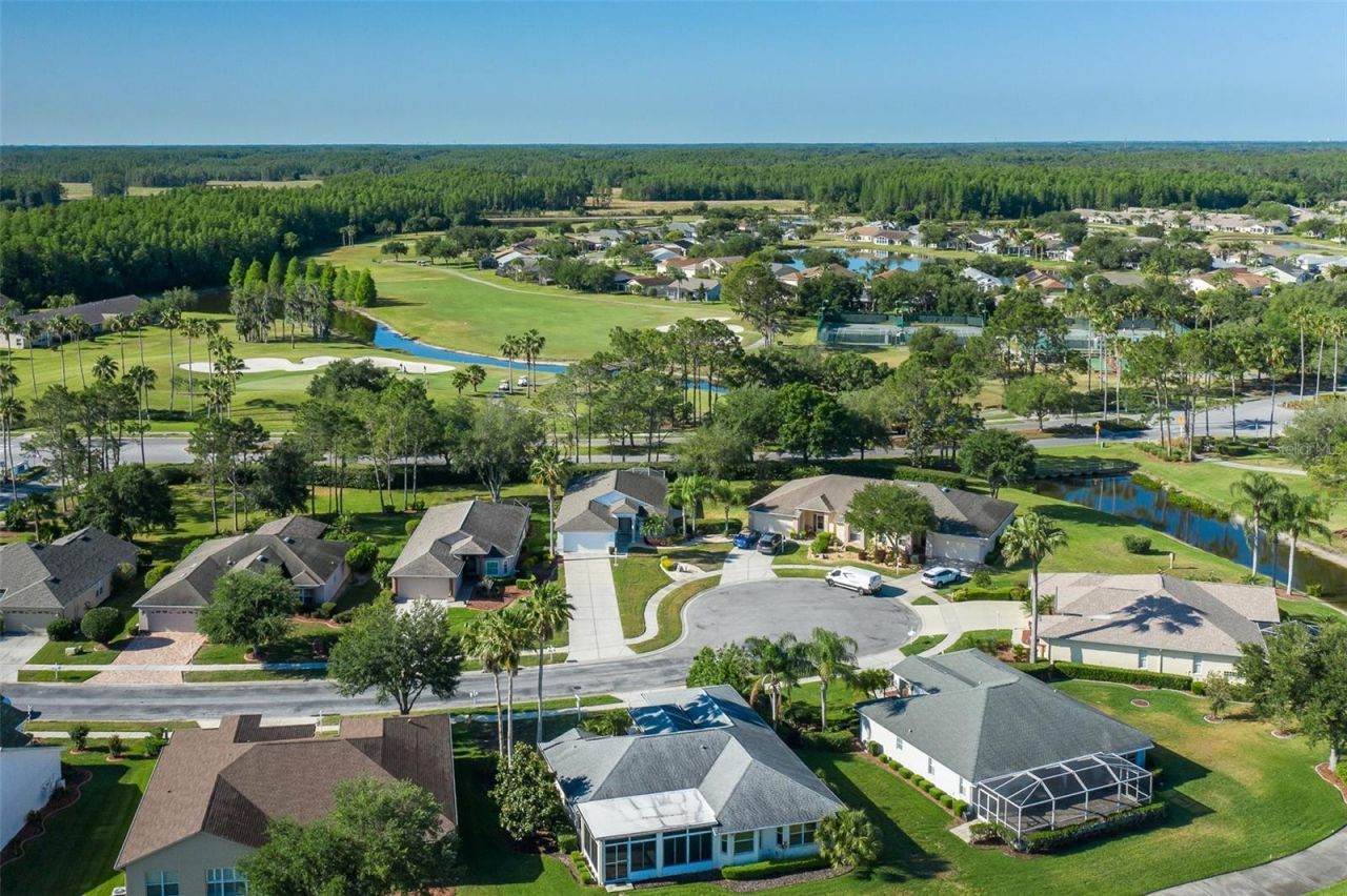 11428 Hidden Cove Court, Trinity, FL 34655 Photo