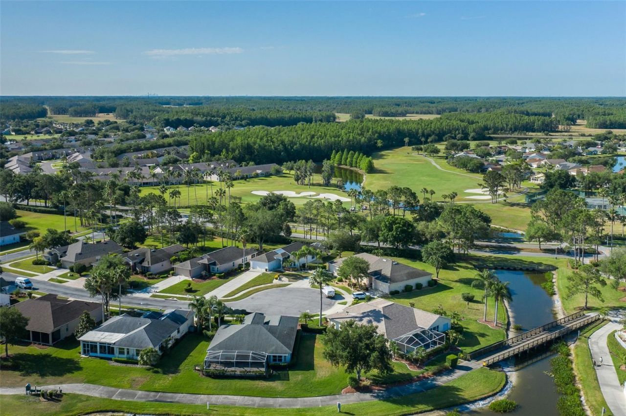 11428 Hidden Cove Court, Trinity, FL 34655 Photo