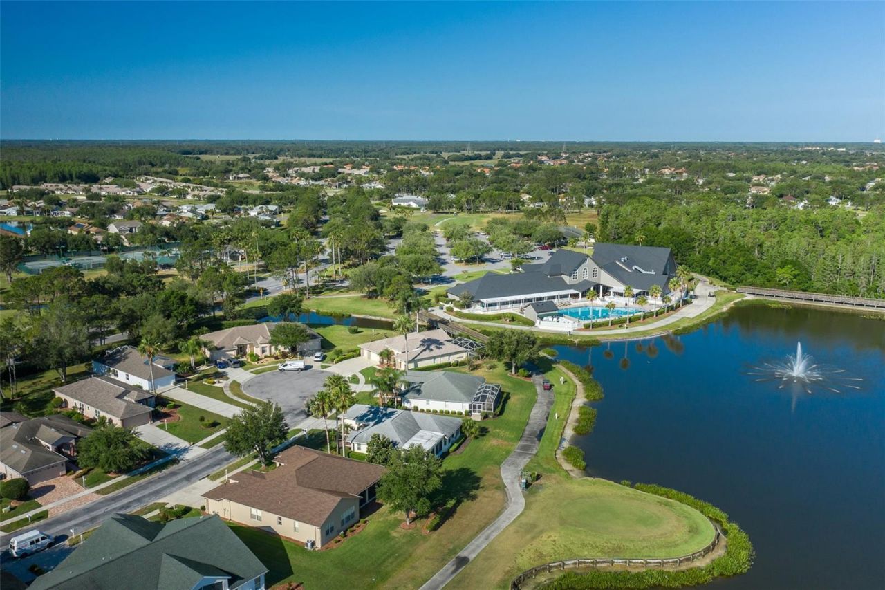 11428 Hidden Cove Court, Trinity, FL 34655 Photo
