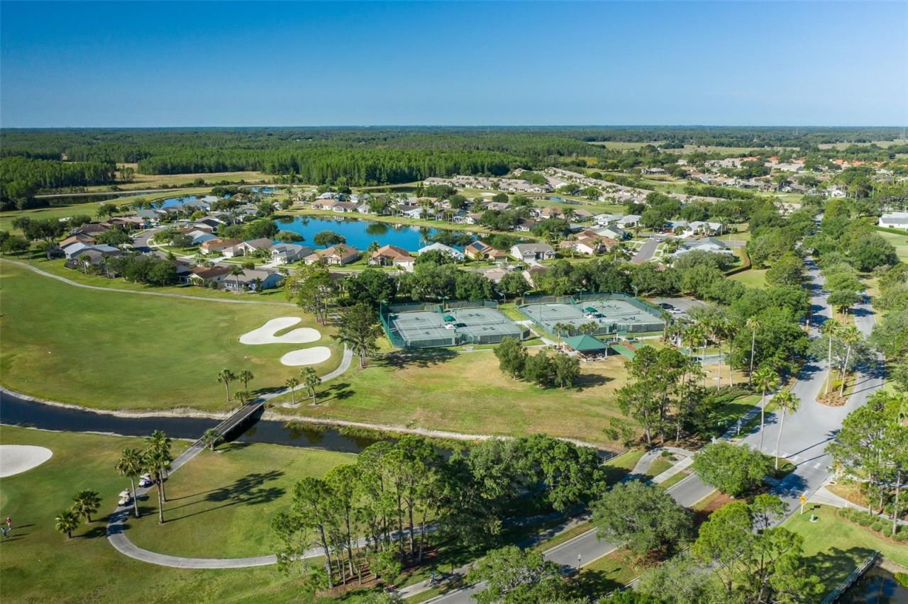11428 Hidden Cove Court, Trinity, FL 34655 Photo