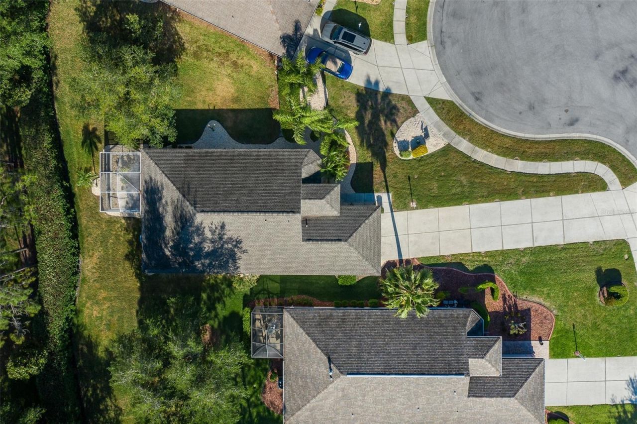 11428 Hidden Cove Court, Trinity, FL 34655 Photo