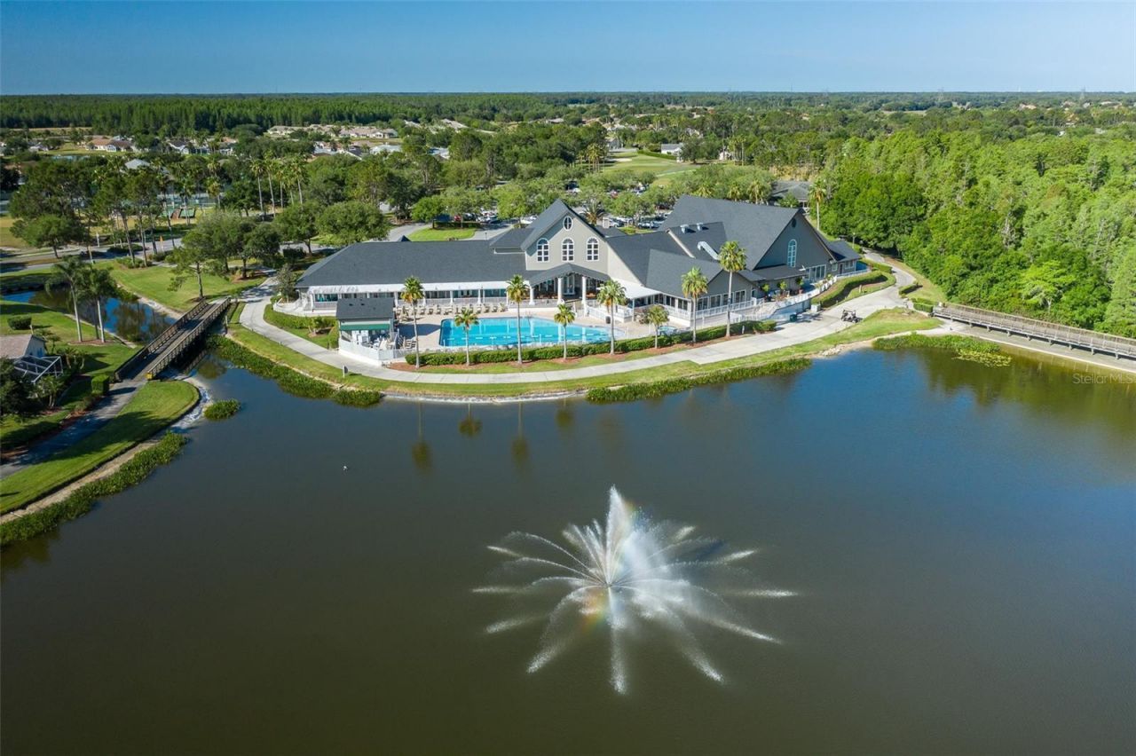 11428 Hidden Cove Court, Trinity, FL 34655 Photo