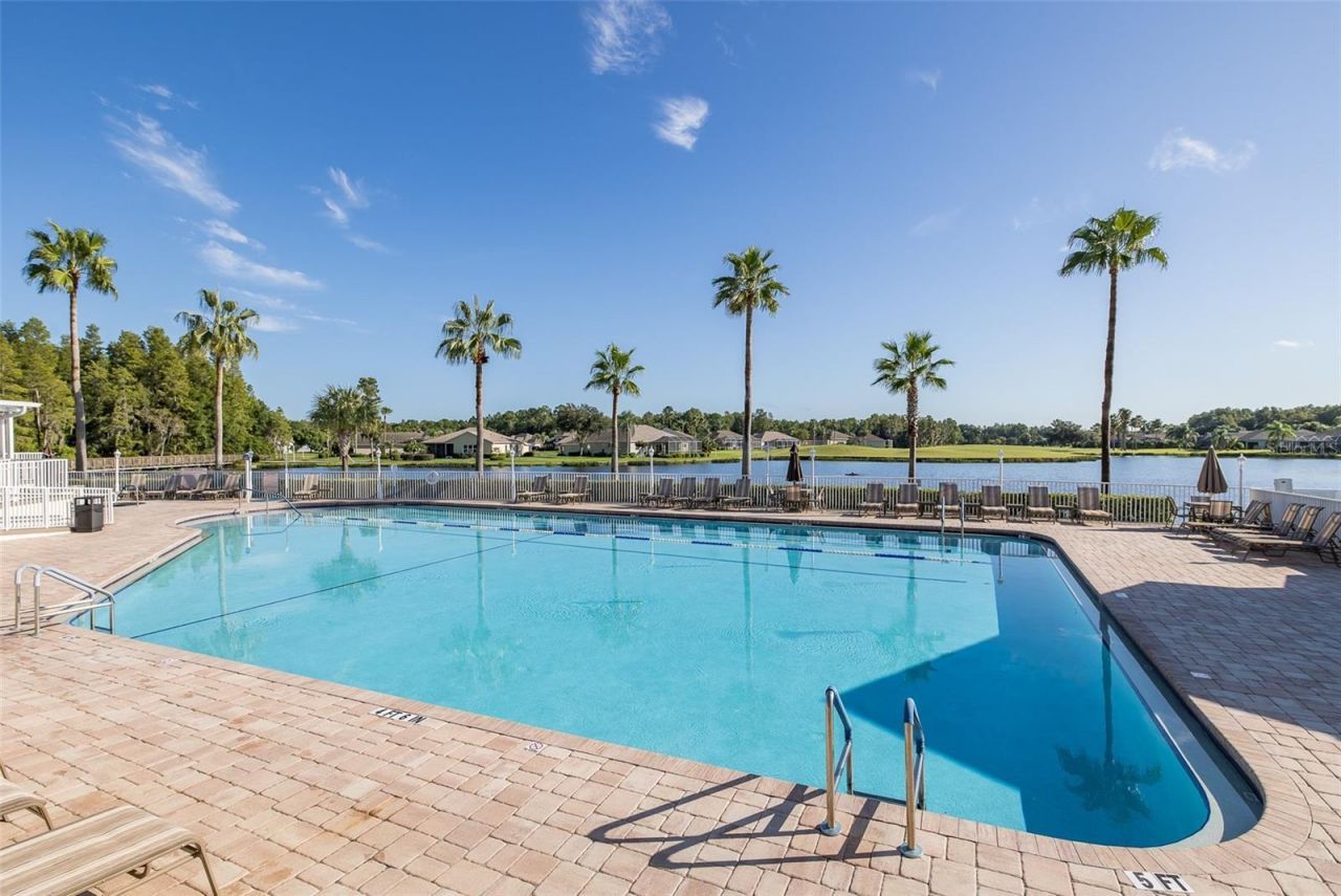 11428 Hidden Cove Court, Trinity, FL 34655 Photo