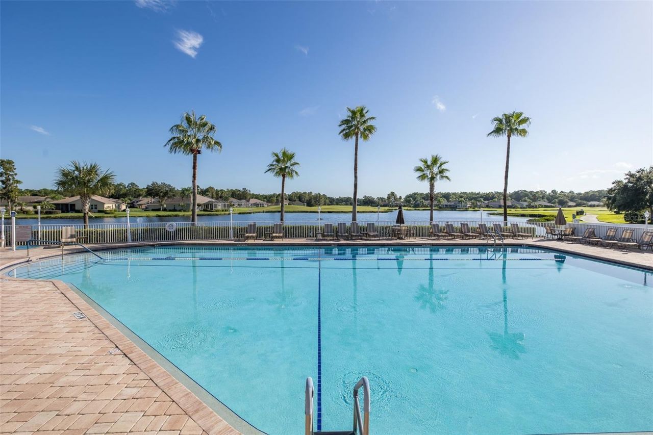 11428 Hidden Cove Court, Trinity, FL 34655 Photo