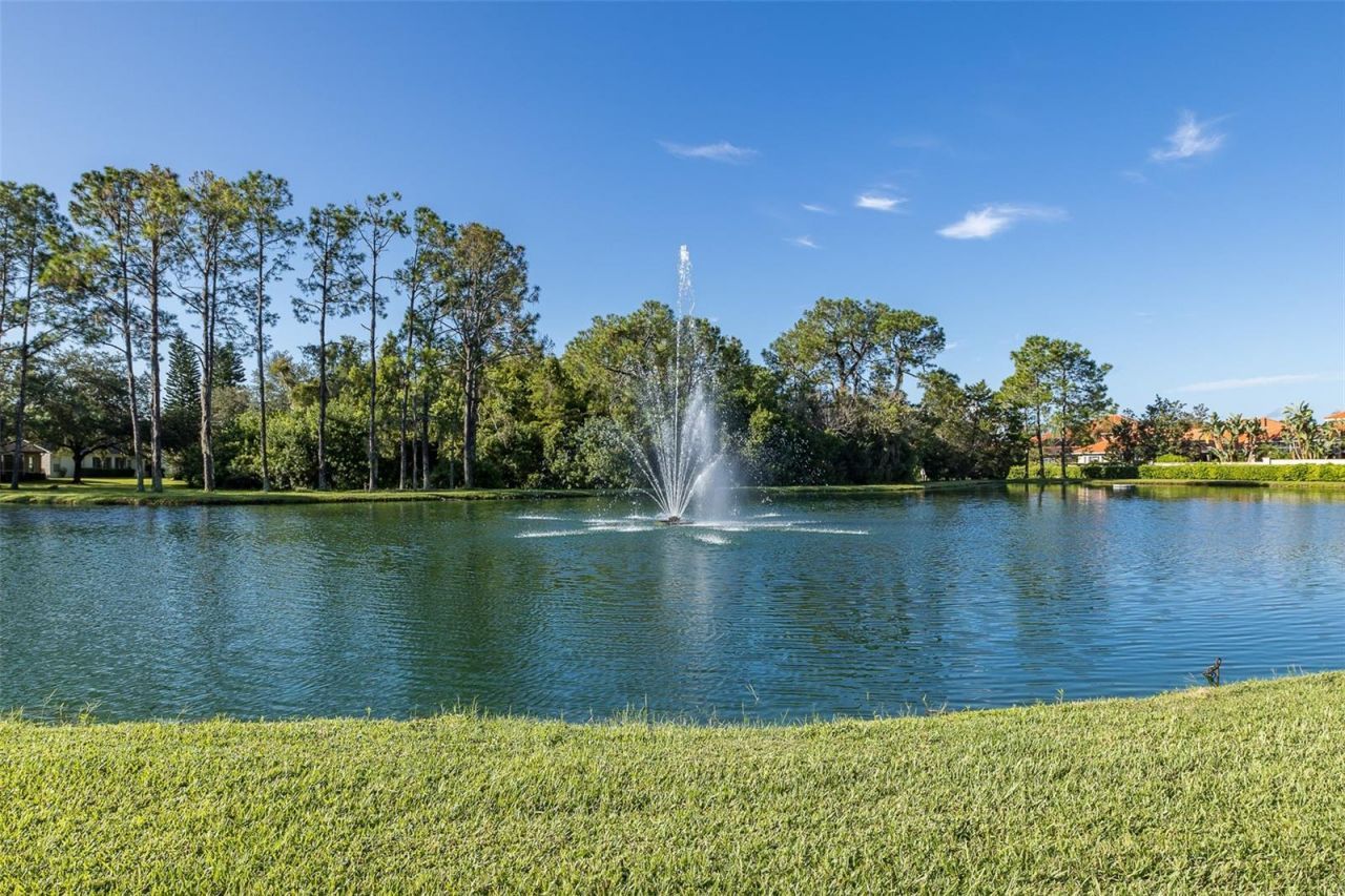 11428 Hidden Cove Court, Trinity, FL 34655 Photo