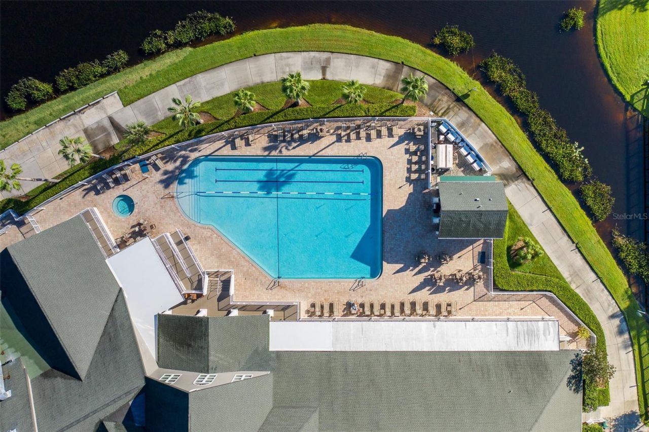 11428 Hidden Cove Court, Trinity, FL 34655 Photo