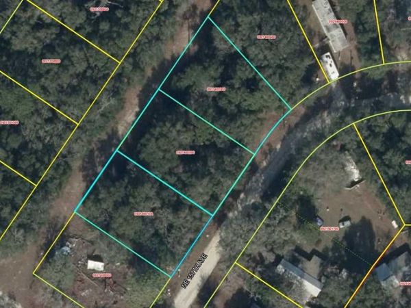 Lot 2-4 NE 157TH AVENUE , WILLISTON, FL 32696