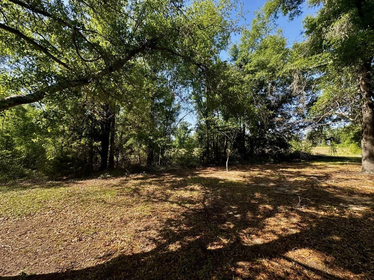 496 NE Centaury Way, Lee, FL 32059 Photo