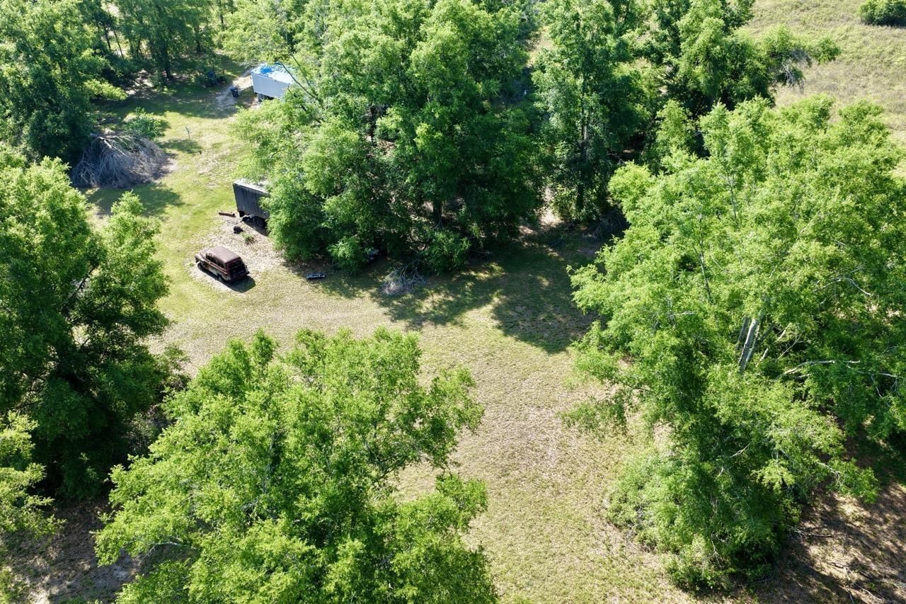 496 NE Centaury Way, Lee, FL 32059 Photo