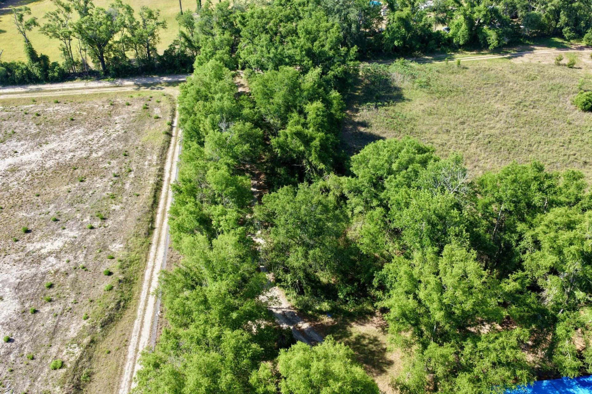 496 NE Centaury Way, Lee, FL 32059 Photo