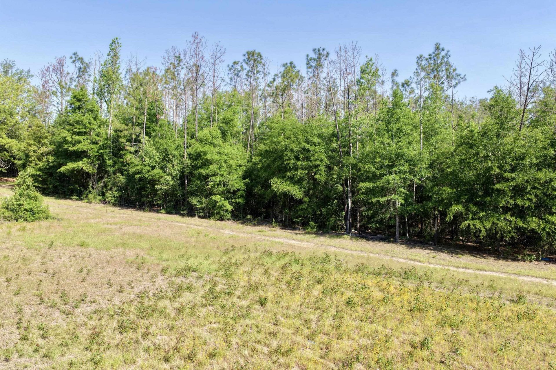 496 NE Centaury Way, Lee, FL 32059 Photo