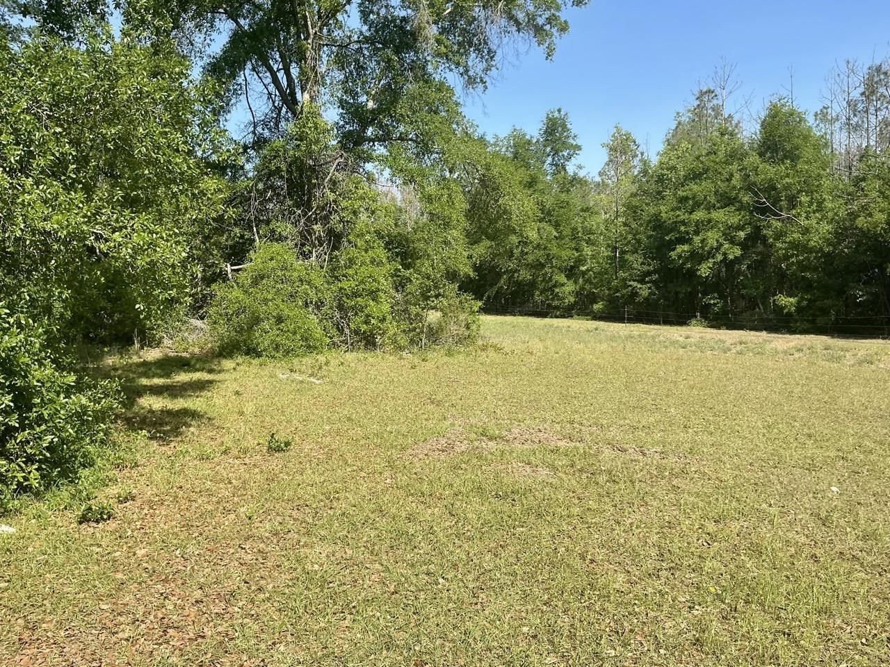 496 NE Centaury Way, Lee, FL 32059 Photo