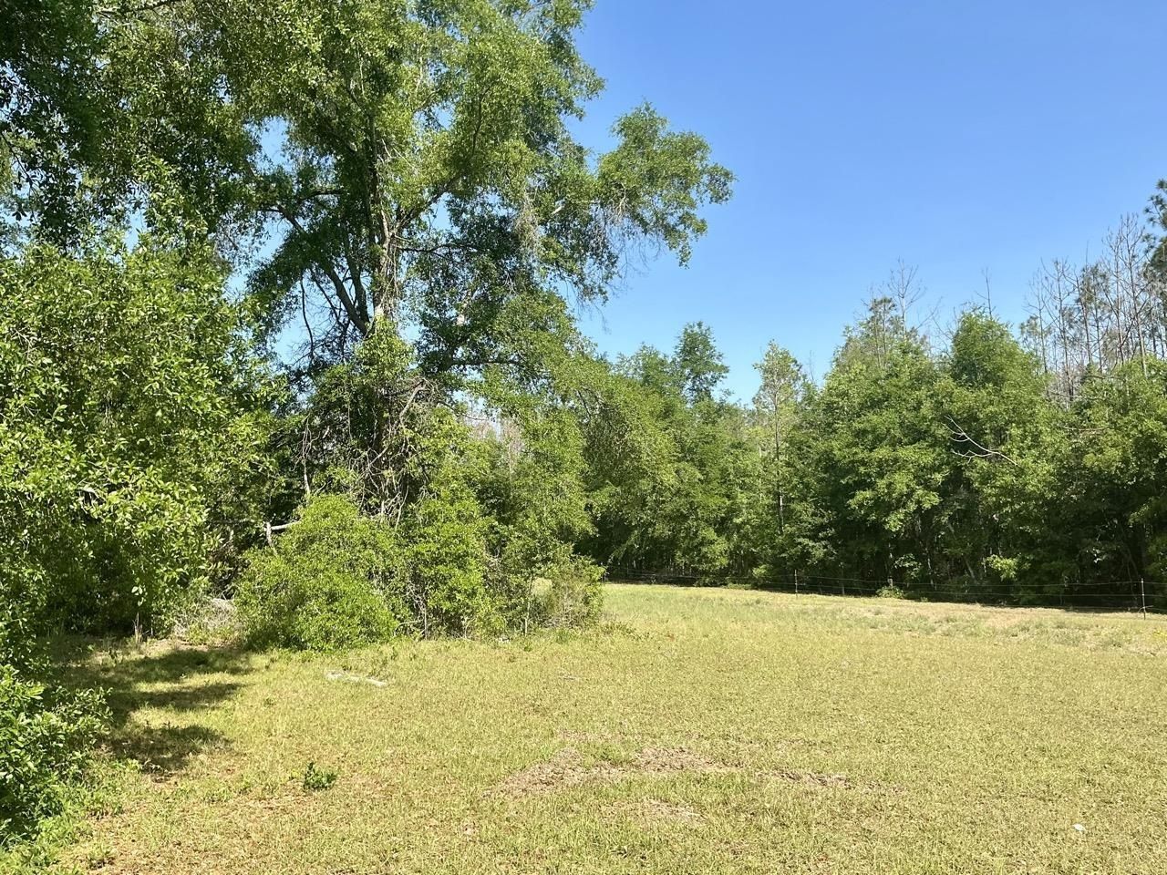 496 NE Centaury Way, Lee, FL 32059 Photo