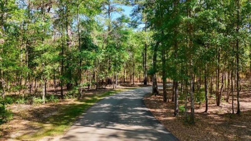 8626 Proctor Road, Tallahassee, FL 32309 Photo