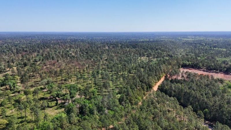 8626 Proctor Road, Tallahassee, FL 32309 Photo