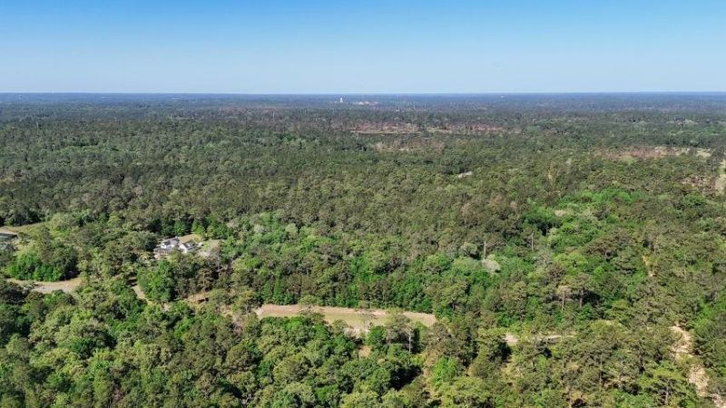 8626 Proctor Road, Tallahassee, FL 32309 Photo