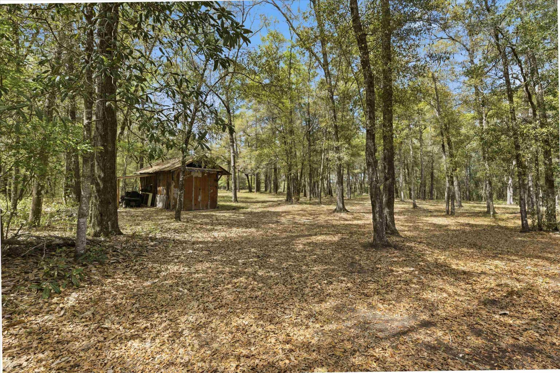 3554 Bristol Highway, Quincy, FL 32351 Photo