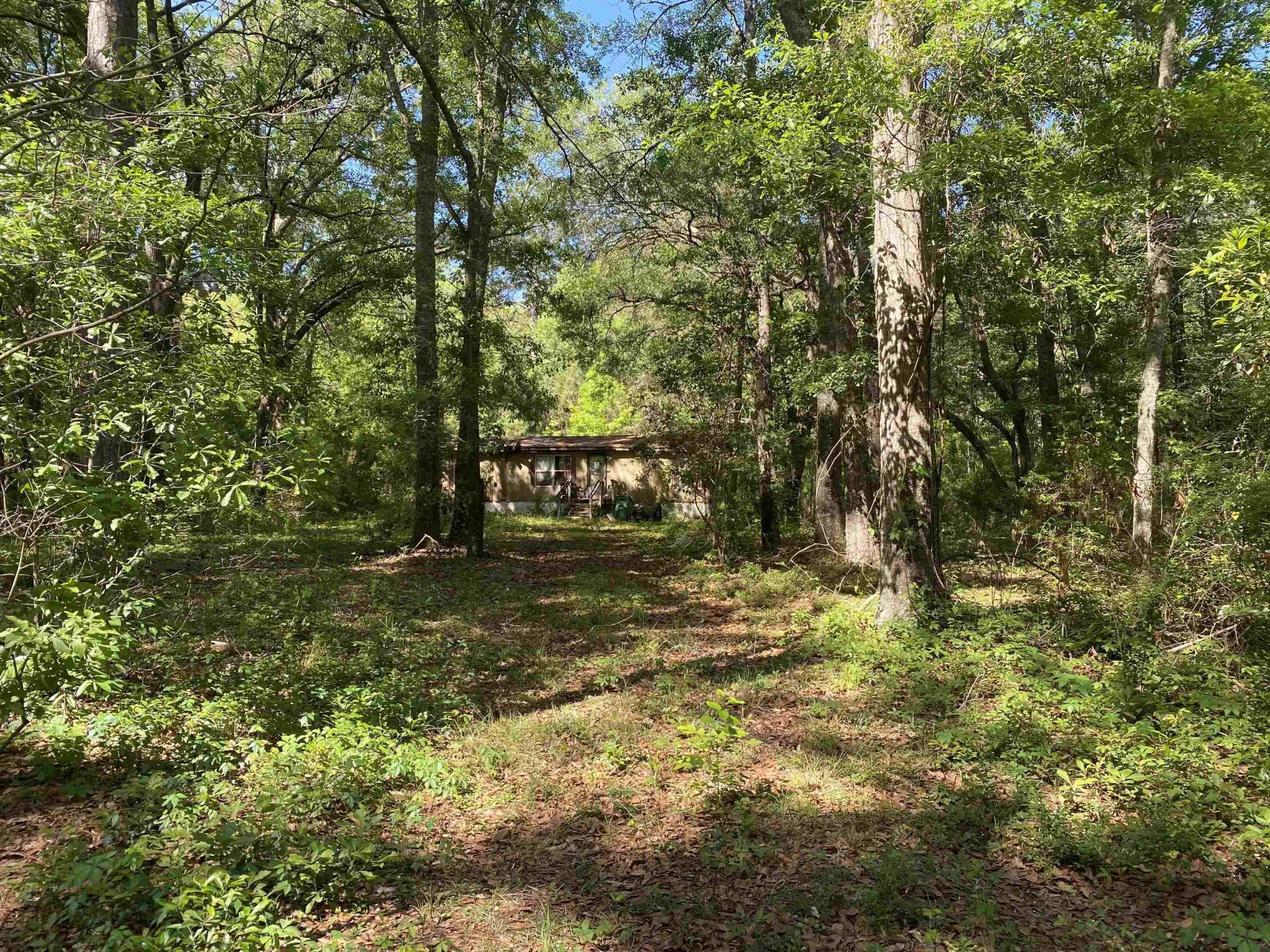 6984 Red Gum Court, Tallahassee, FL 32303 Main Photo