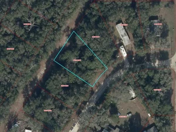 09214-003-00 NE 157th AVE , WILLISTON, FL 32696