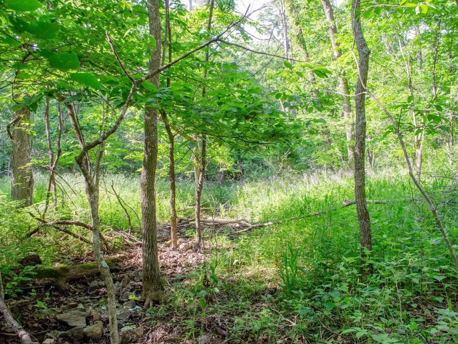 Property Image 53