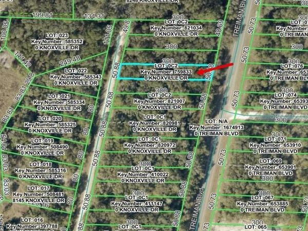 KNOXVILLE DRIVE, WEBSTER, FL 33597