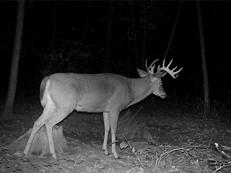 ZANE Road, Lore City, OH 43755 Photo 9