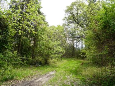 0 Marshall Street, Brookneal, VA 24528